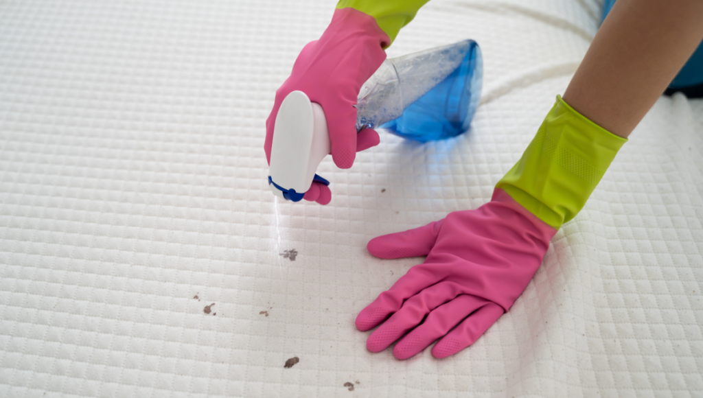 Can You Wash Bed Bug Mattress Covers?