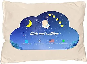 Little One's Organic Cotton Shell Pillow
