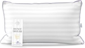 Queen Anne Luxury Hotel Down Alternative Pillow